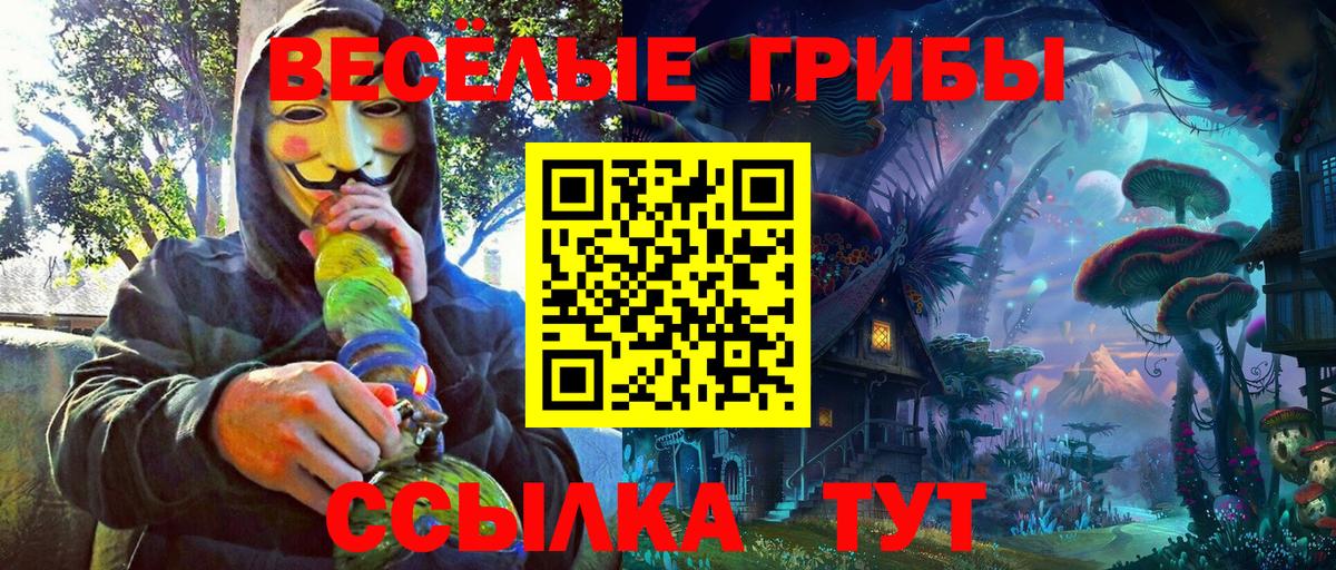 Нефтекамск  Галлюциногенные грибы GOLDEN TEACHER  Вход с VPN  Псилоцибиновые грибы мухоморы 